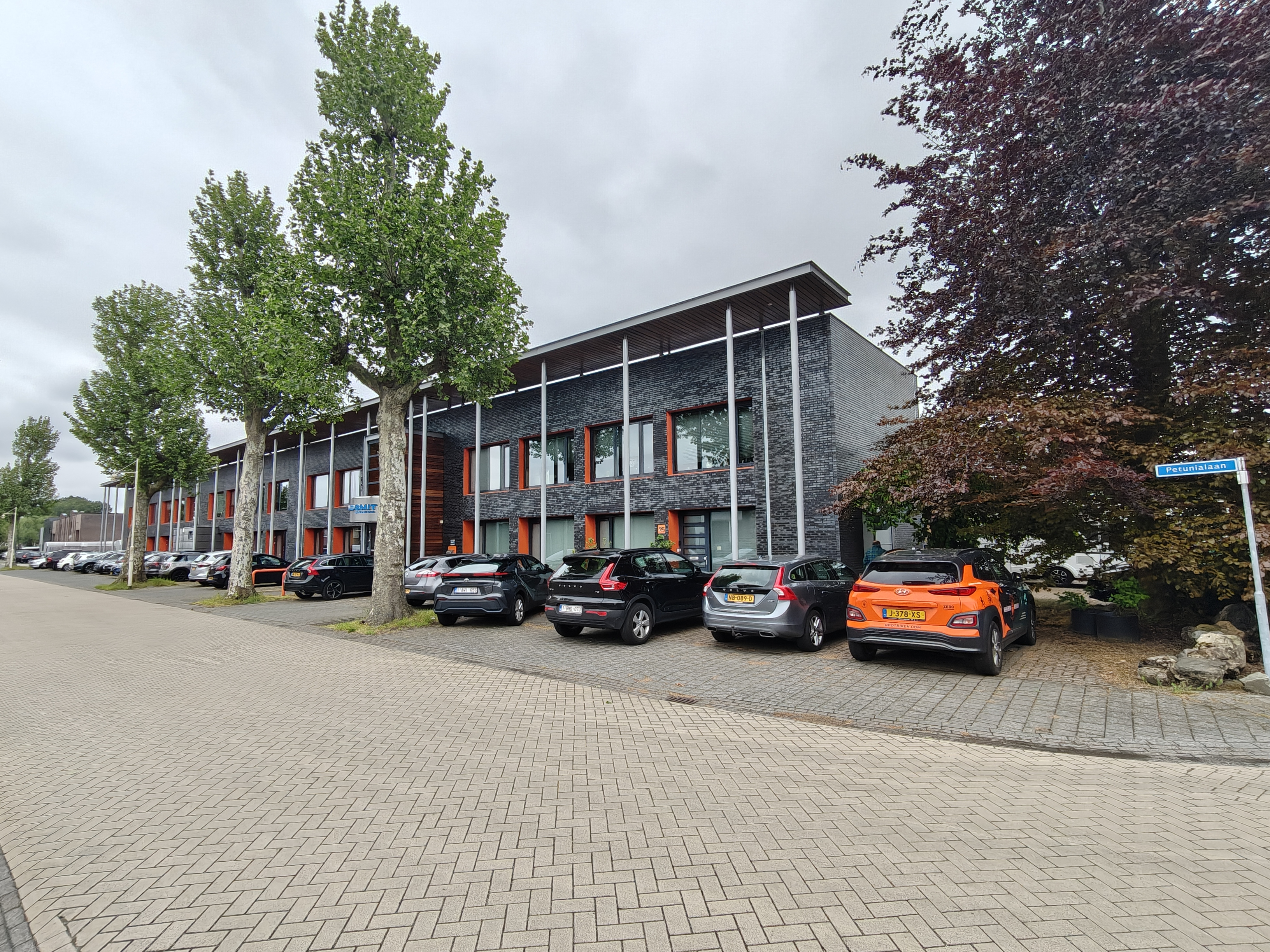 Petunialaan