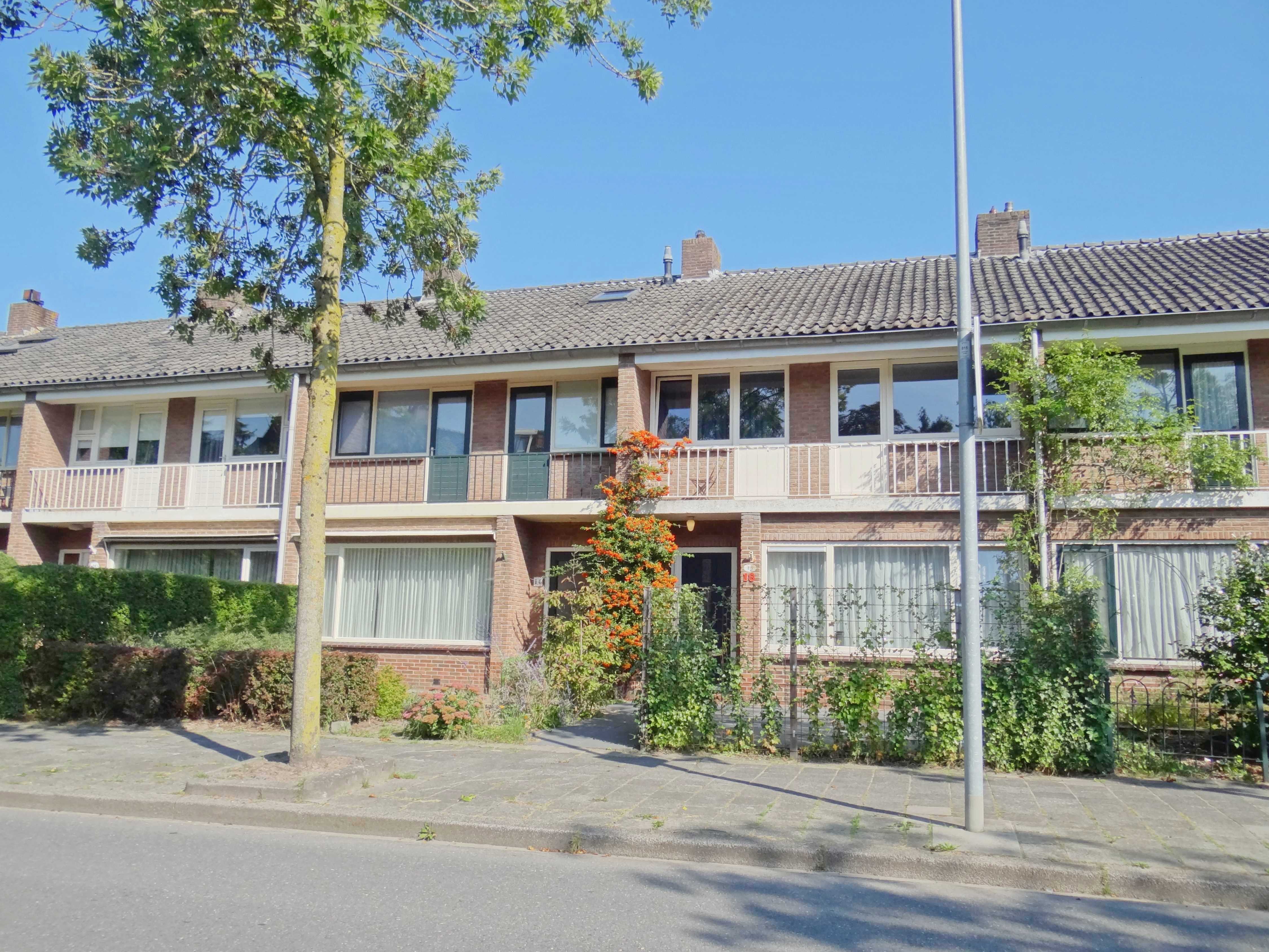 Haydnlaan