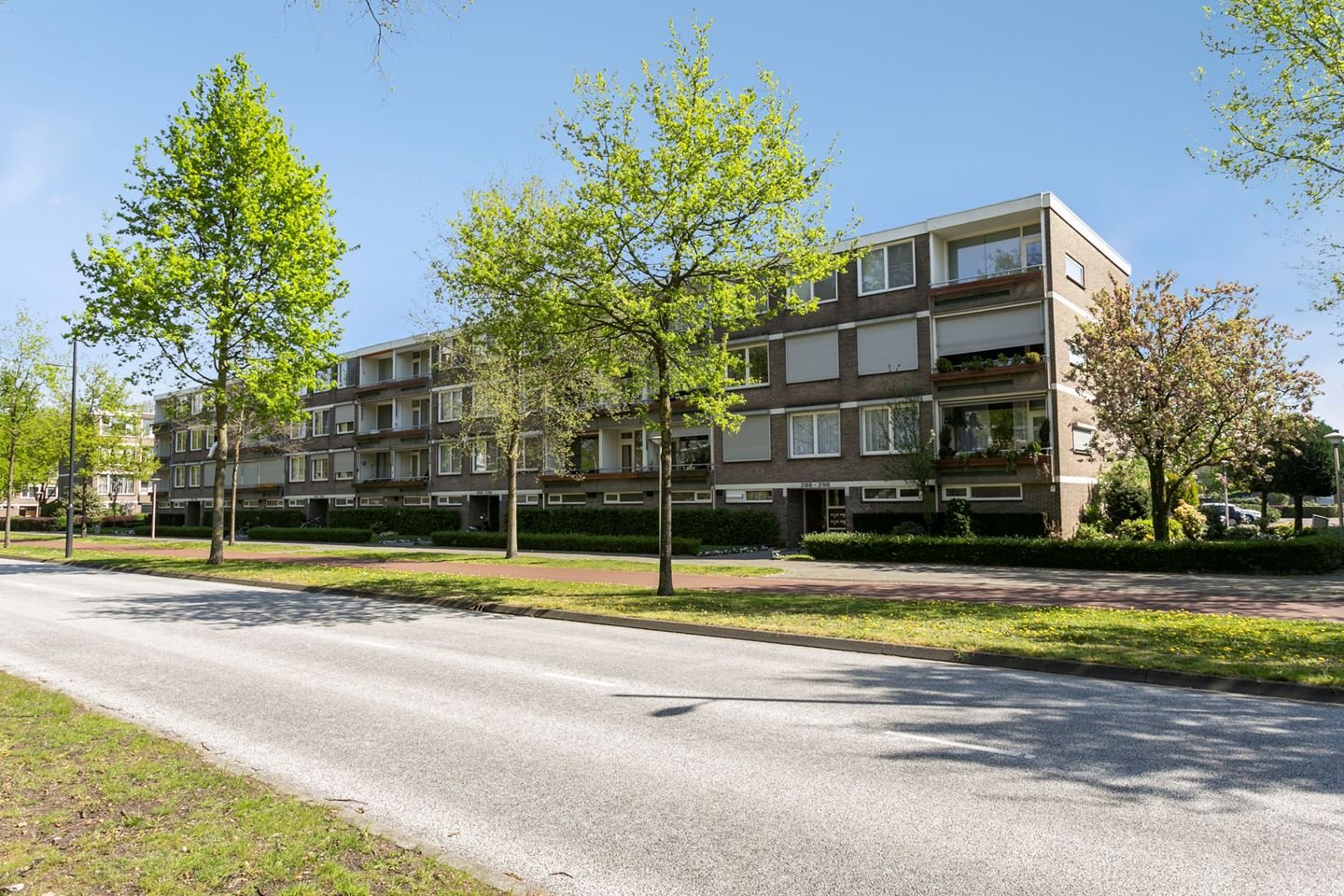 Veldmaarschalk Montgomerylaan