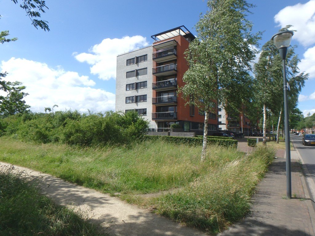 Grasbaan